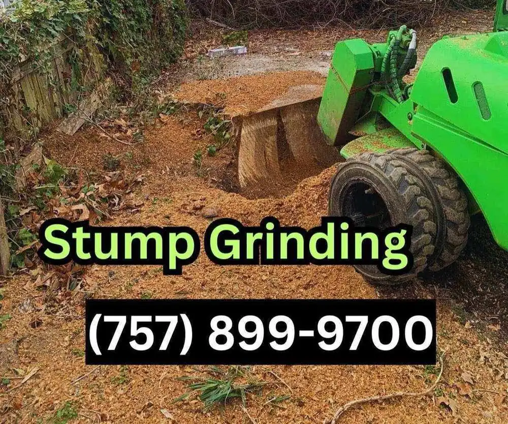Stump grinding machine in action in Hampton Roads Virginia
